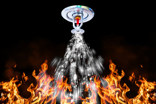 หัวสปริงเกอร์/Sprinkler